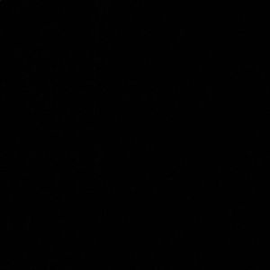 Meet your Posher, Carly